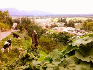Bogotà, Colombia