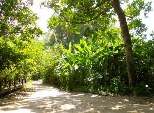 Parco Tayrona Colombia
