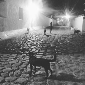 una notte da sogno, in cui un sogno è diventato realtà....