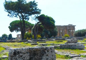 Idee per cambiare l'Italia, dall'estero tornare in Italia