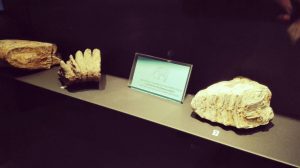 museo archeologico grumentum