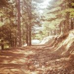 La strada che porta ai giganti di Cozzo