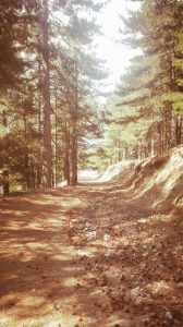 La strada che porta ai giganti di Cozzo