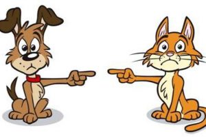 dare la colpa vs assumersi responsabilità