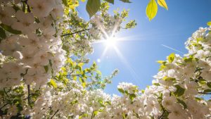 meditazione per lequinozio di primavera