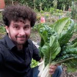 ...e le Bietole!