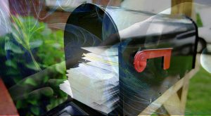 dove spedire curriculum quantistico