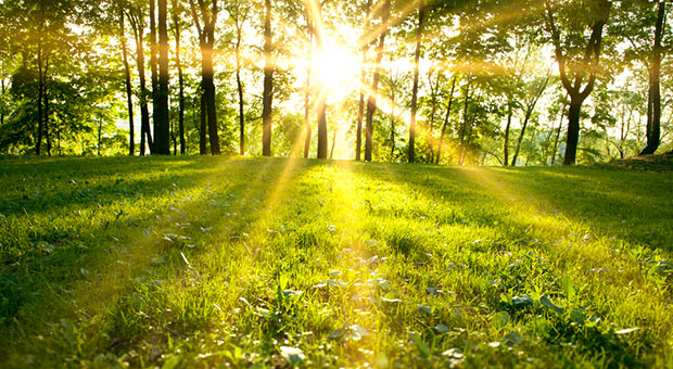 Rituale per l'Equinozio di Primavera