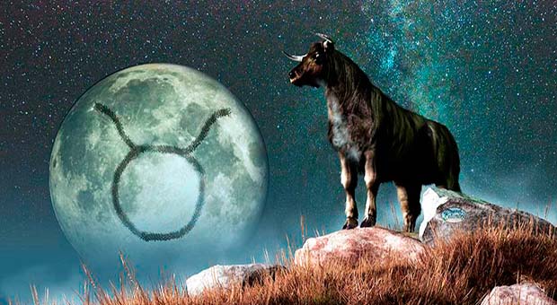 caratteristiche segno del toro