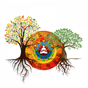 ciclo di costellazioni e lettura del tema natale